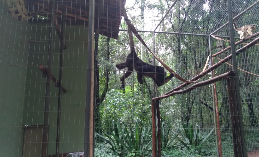 Zoologico Municipal-Mogi Mirim必去景点