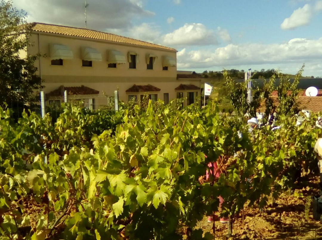 Hostal Restaurante Santa Cruz主图