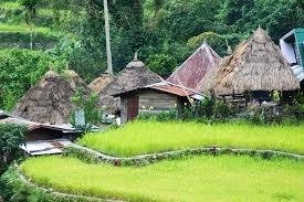 BanaueTours Specialist景点图片