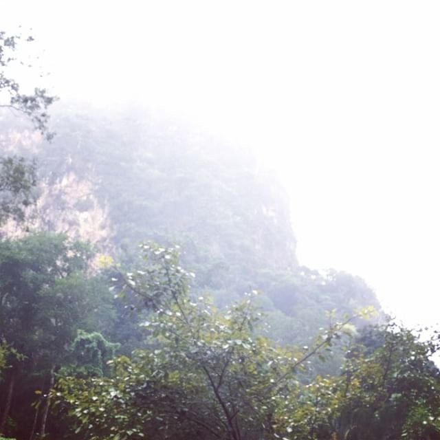 Doi Musur Hilltribe Development & Welfare Center-湄索必去景点