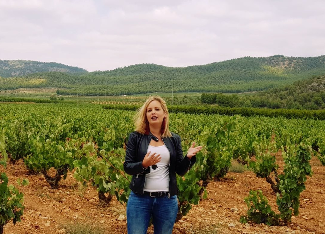 Bodegas Lavia-Cehegin必去景点