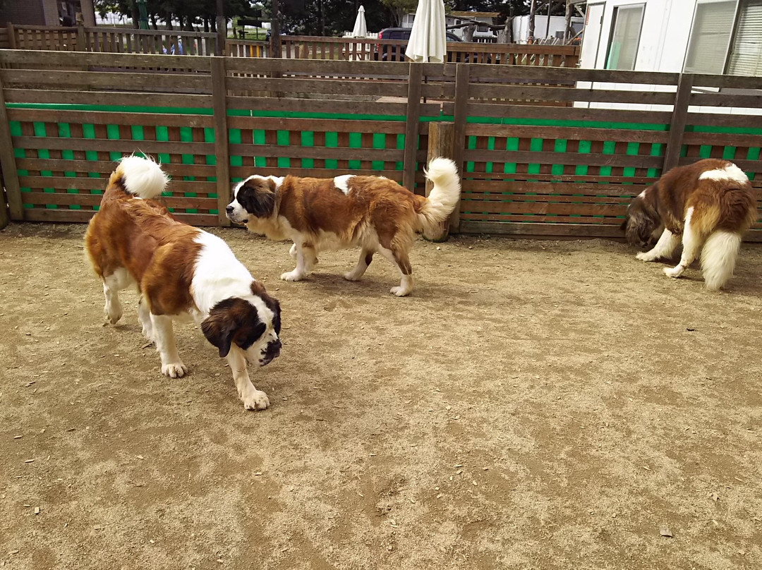 Nasu Ohkun Fureai Ranch-那须町必去景点