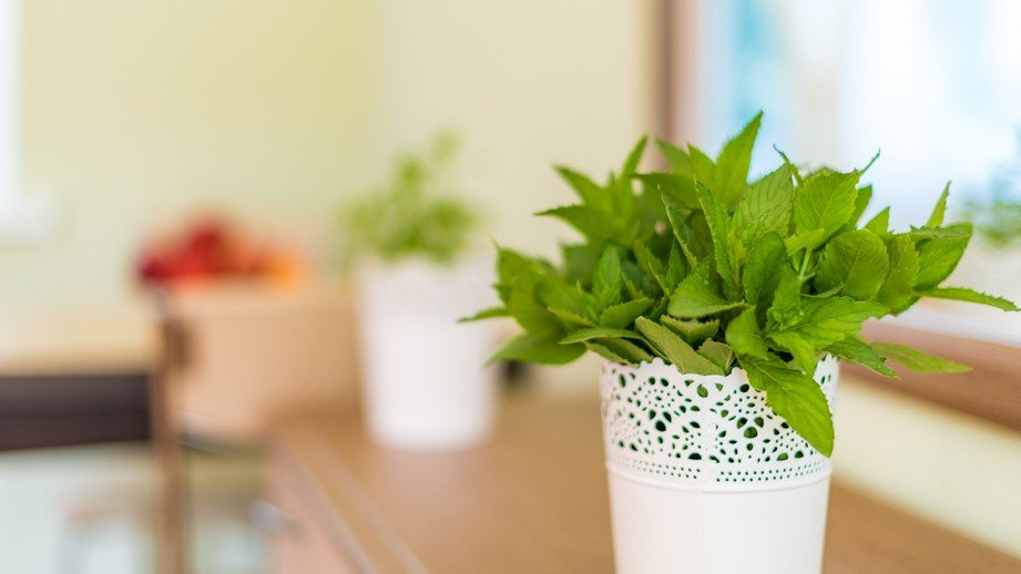 Guest House Tavrichesky主图