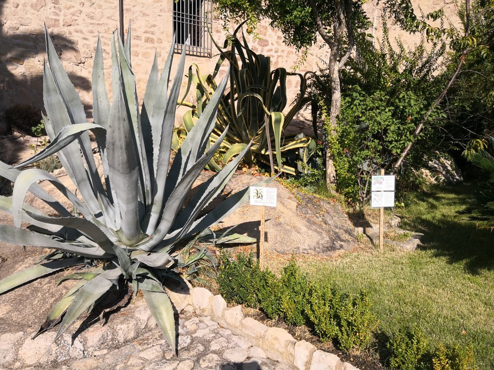 Casa-Fuerte de Luis de Chaves "el Viejo"景点图片