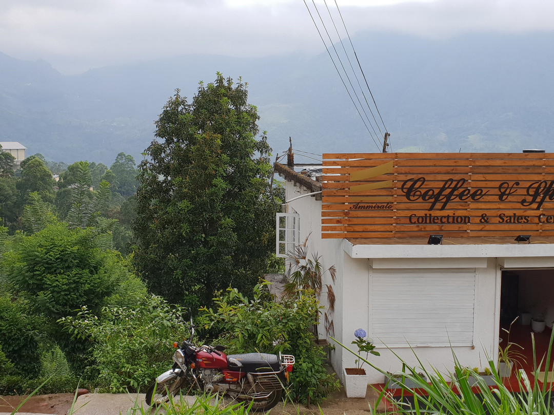 Ceylon Coffee & Spice Trail景点图片