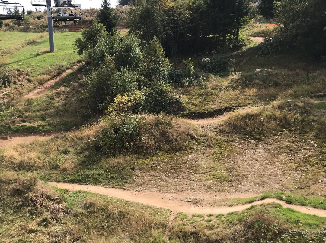 Lac-Blanc Bike Park景点图片