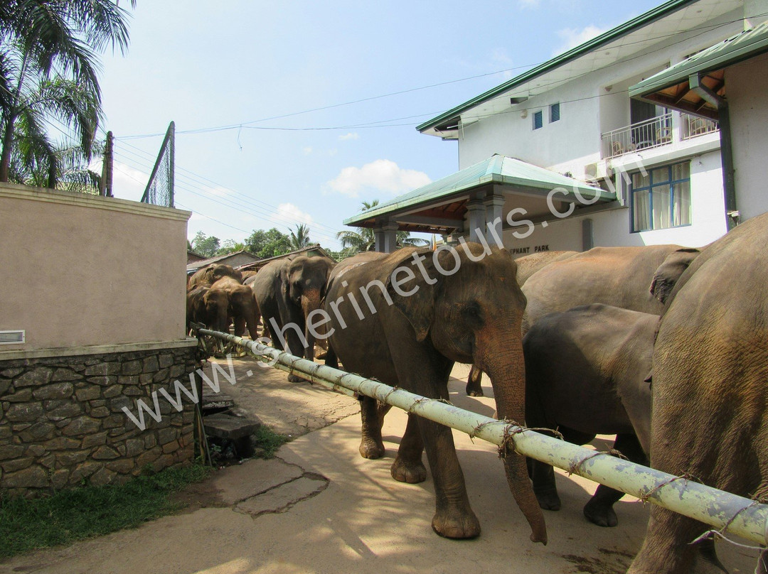Sherine Tours-Waikkal必去景点
