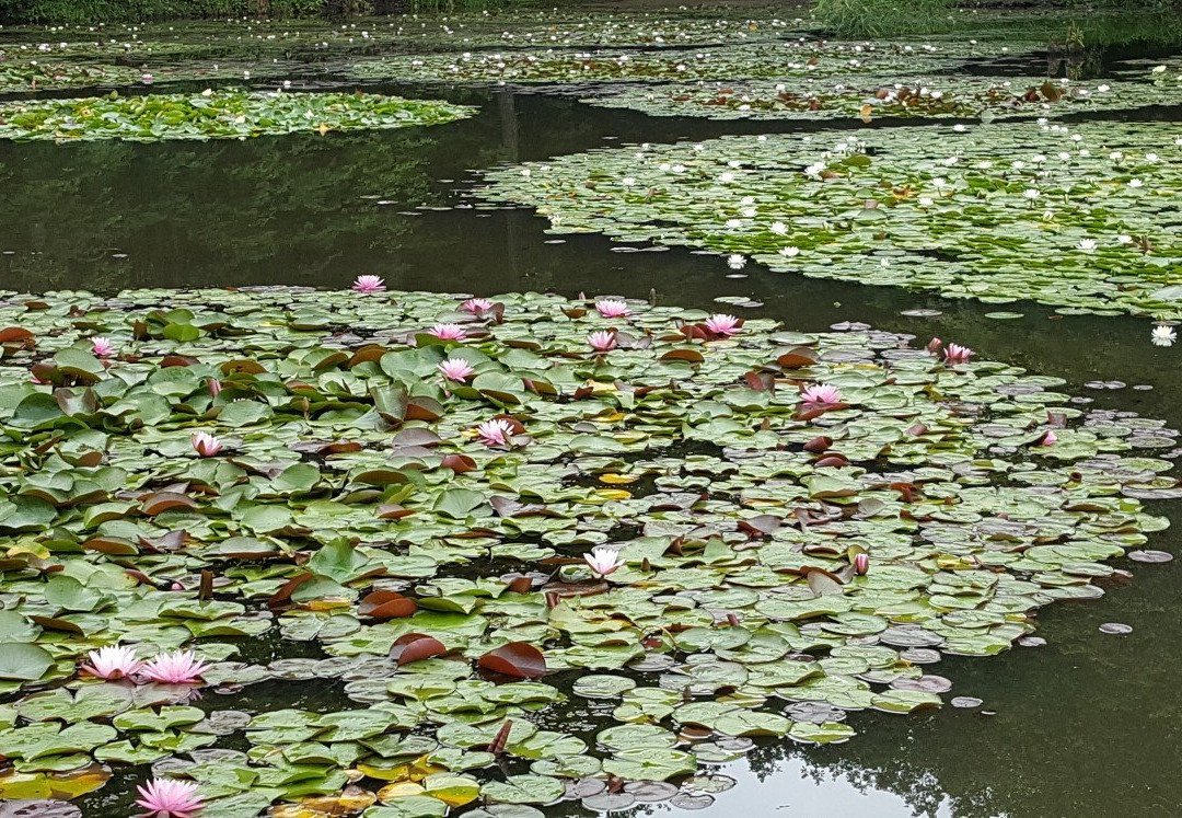 Asahiyama Miura Garden-旭川市必去景点