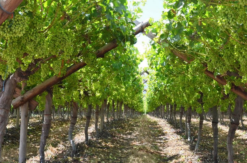 TourScape-St. James必去景点