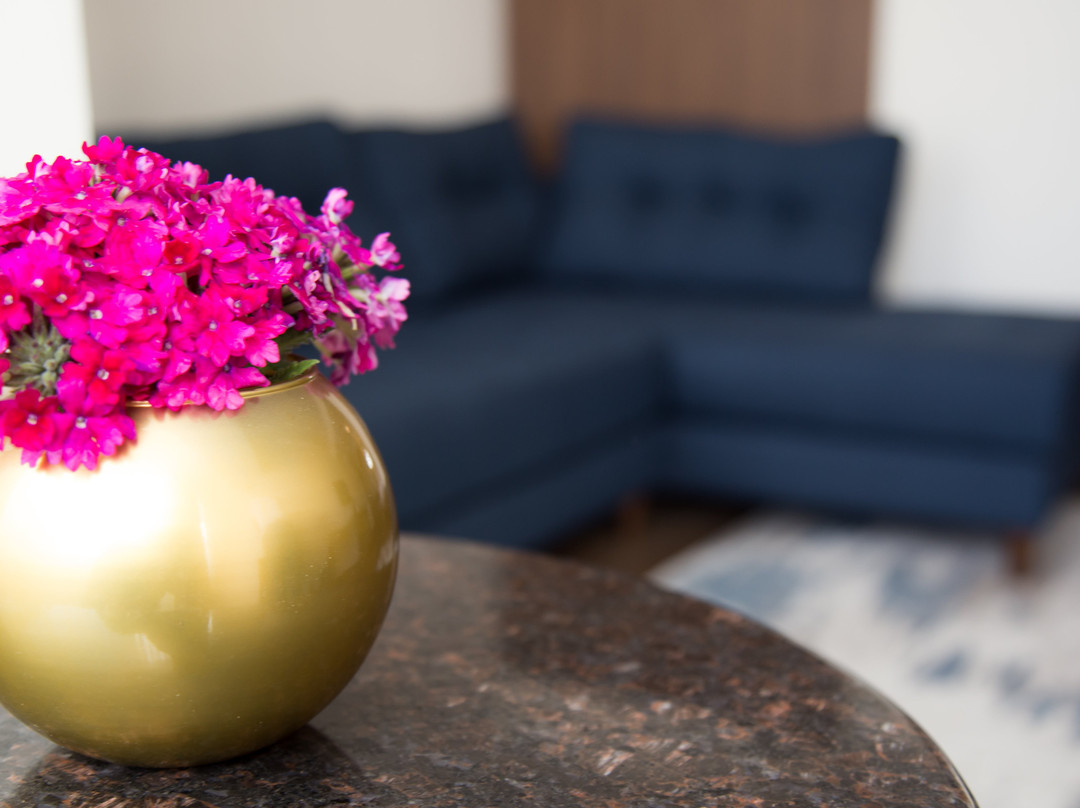 TN&CO Exclusive CIP Suites and PrimeClass Rooms主图