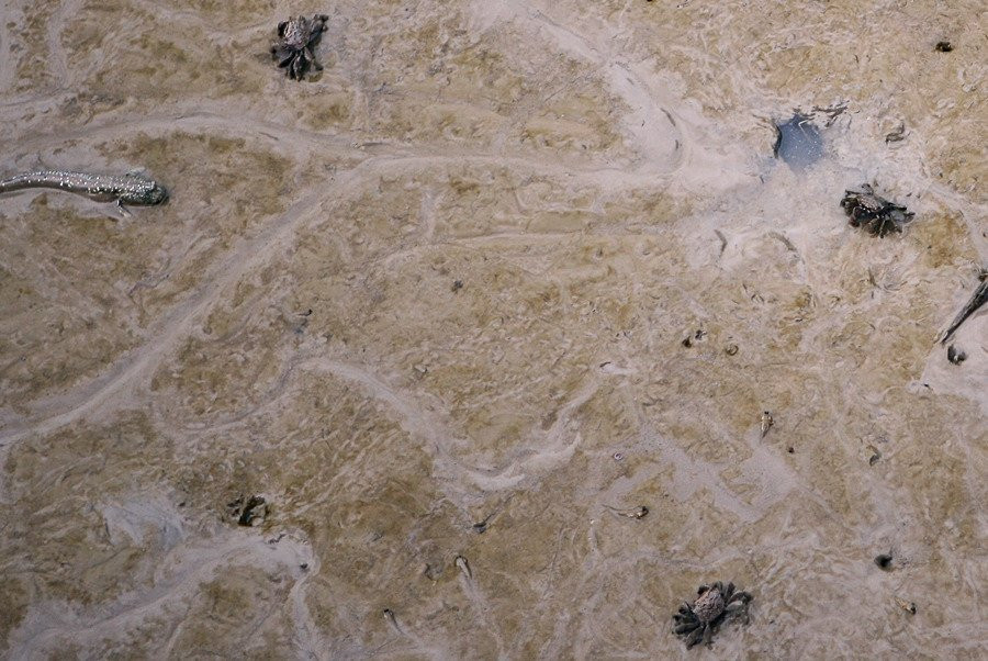 Gangjinbay Ecological Park-康津郡必去景点