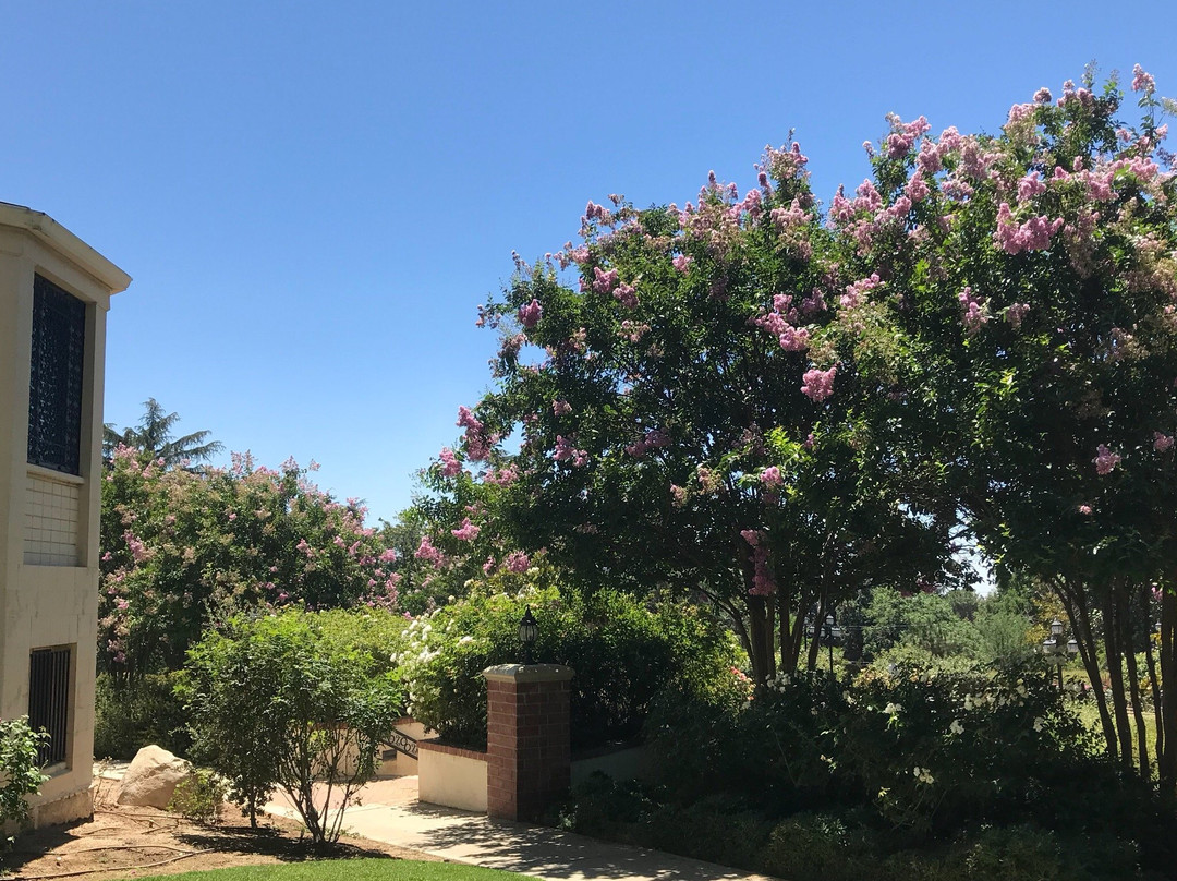 Edward-Dean Museum of Decorative Arts-Cherry Valley必去景点