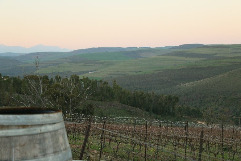 Luddite Wines-Botrivier必去景点