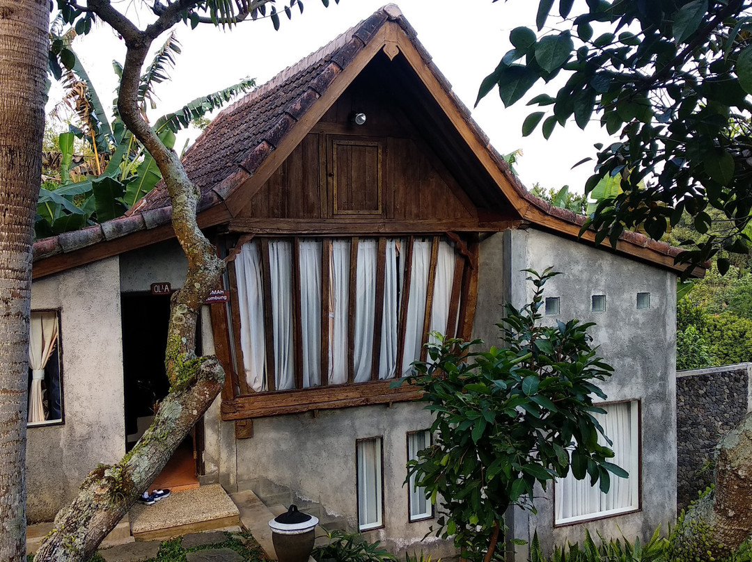 Kampung Lumbung Boutique Hotel主图