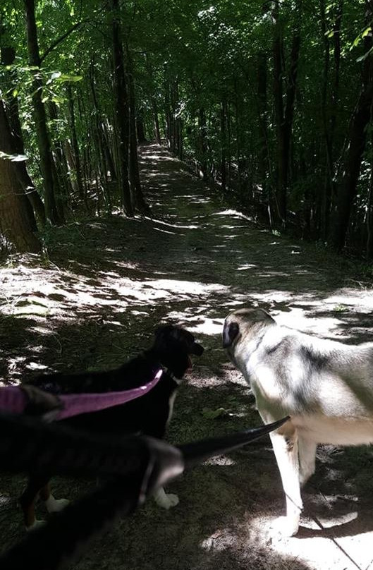 Pyramid State Park-Pinckneyville必去景点