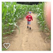Hicks Family Farm Corn Maze-Charlemont必去景点