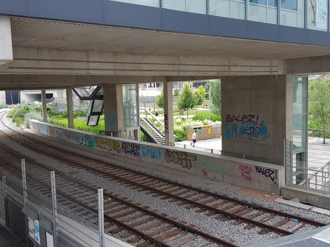 Parc Clichy-Batignolles - Martin-Luther-King景点图片