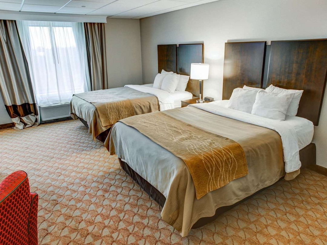 Comfort Inn & Suites主图