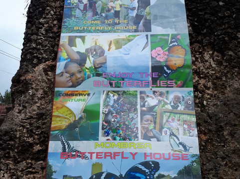Mombasa Butterfly House-蒙巴萨必去景点
