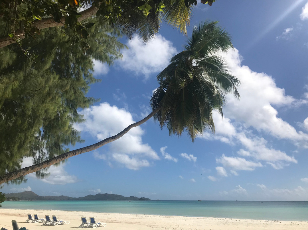 科多尔沁蓝俱乐部酒店主图