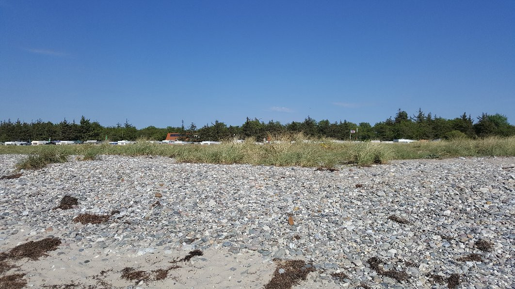 Campingplatz Fluggerteich