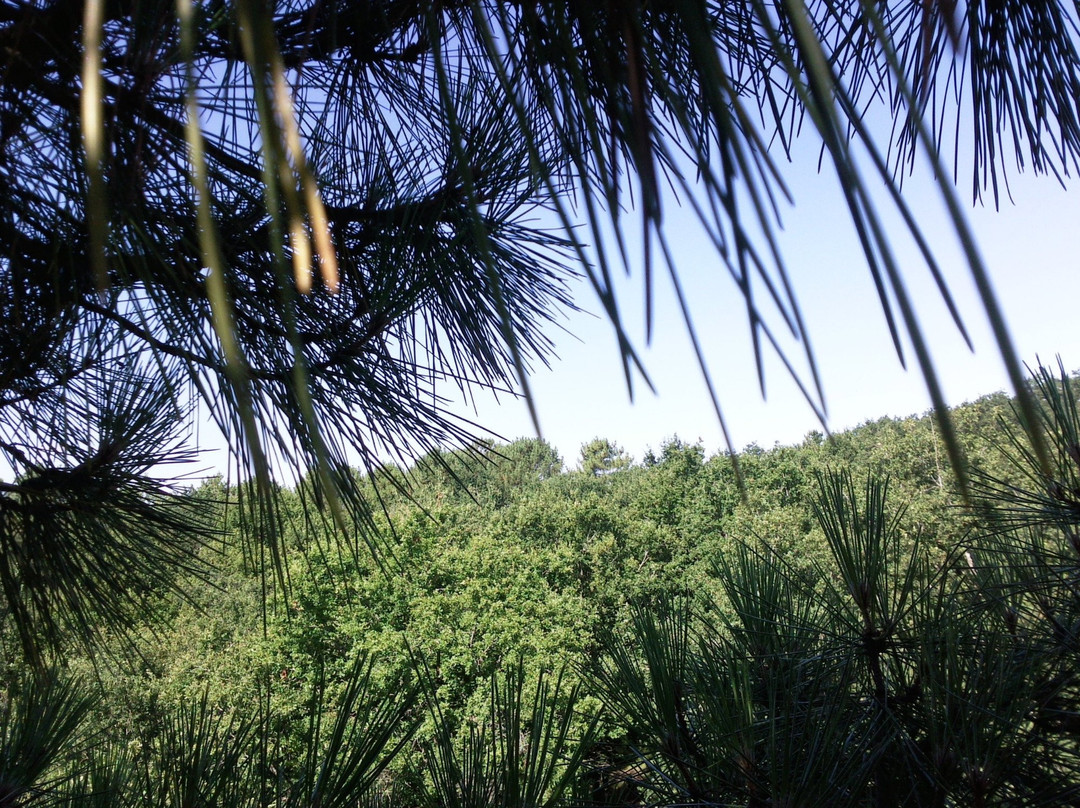 FUN FOREST Parcours Aventure-Fontaine-le-Comte必去景点