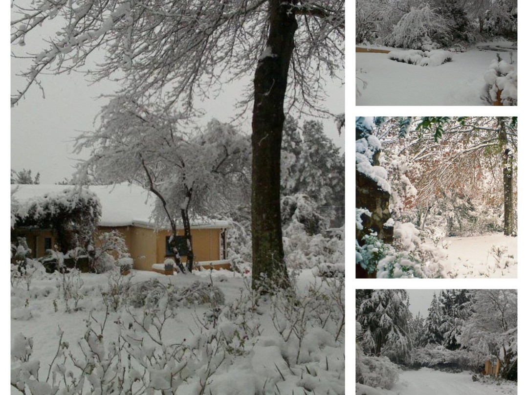 Granny Mouse House主图