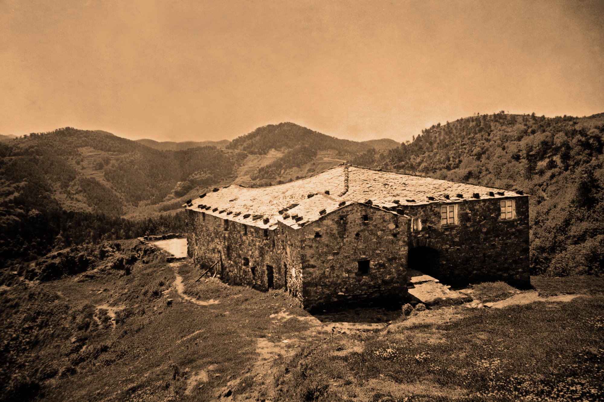 Agriturismo degli Olivi-官方