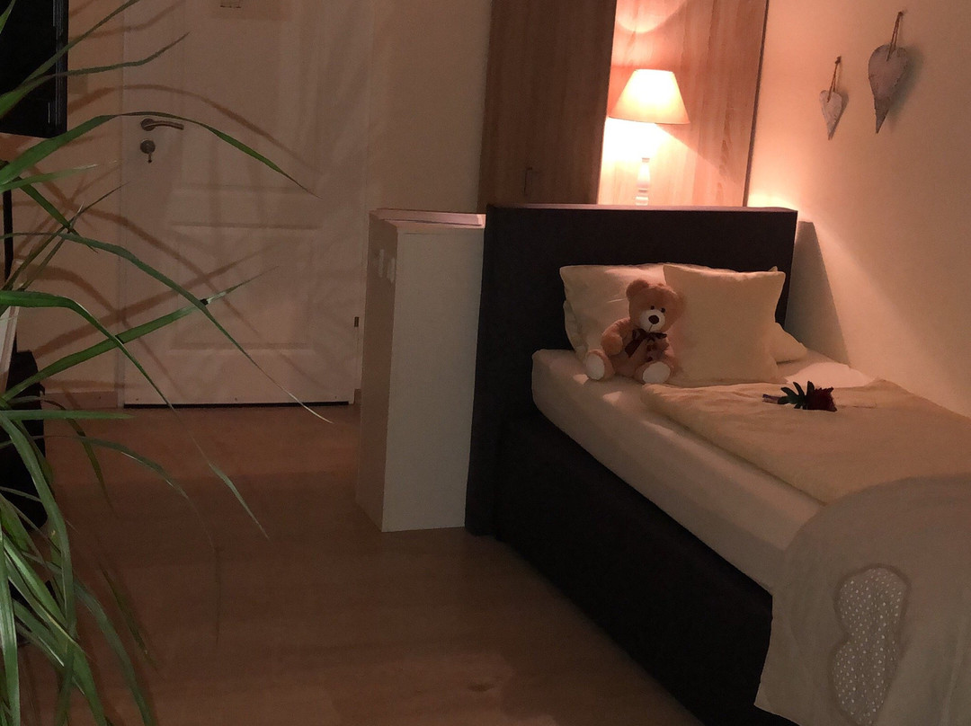 Hotel Garni Zum Grunen Baum主图