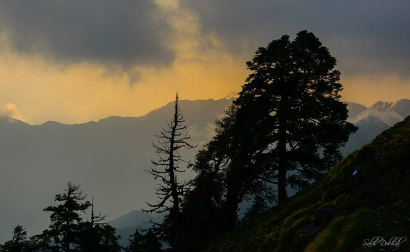 Alpine Adventure Camp主图