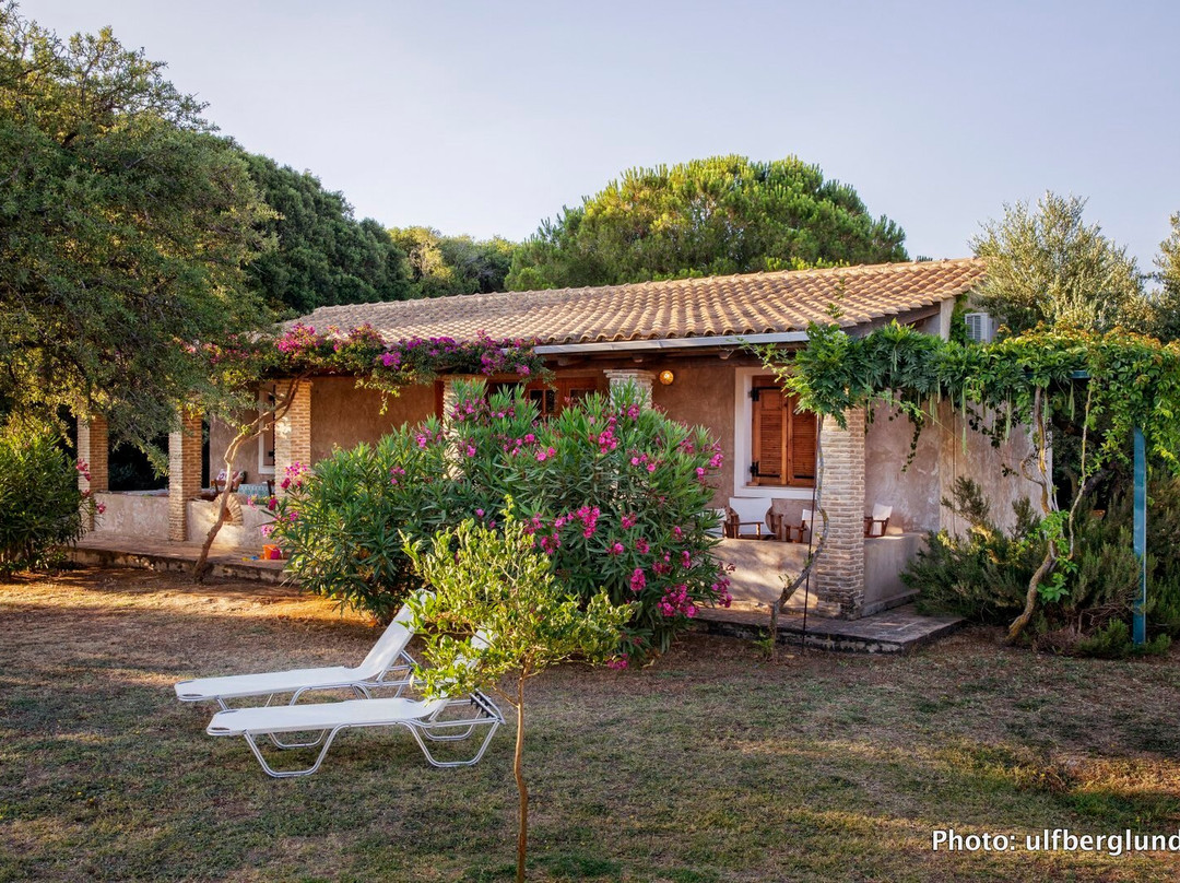 Hotel Daphnes villas and apartments