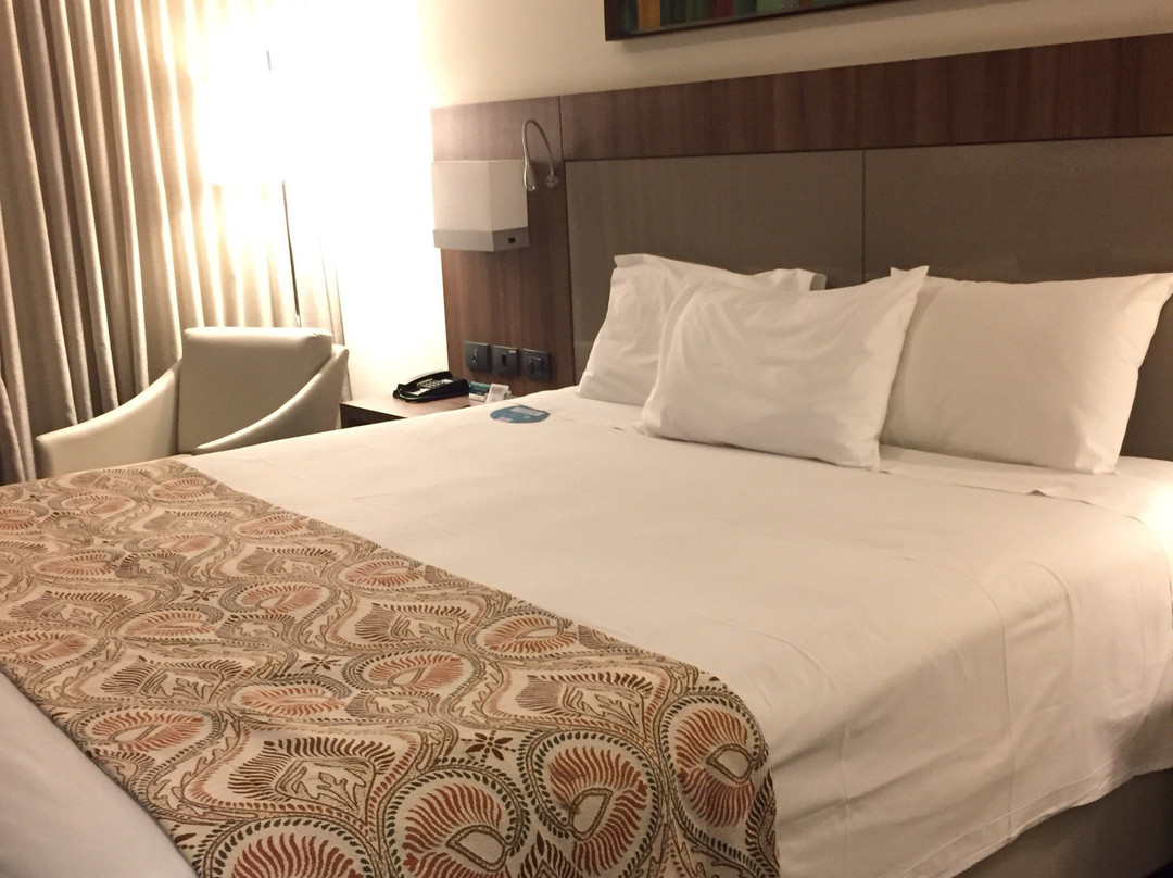 Hotel Deville Prime Campo Grande主图