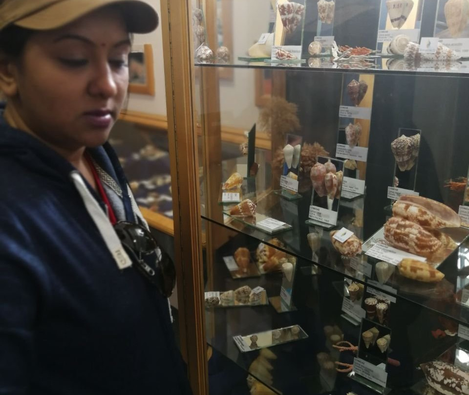 Jeffrey's Bay Shell Museum (Charlotte Kritzinger Shell Museum)-杰佛瑞湾必去景点