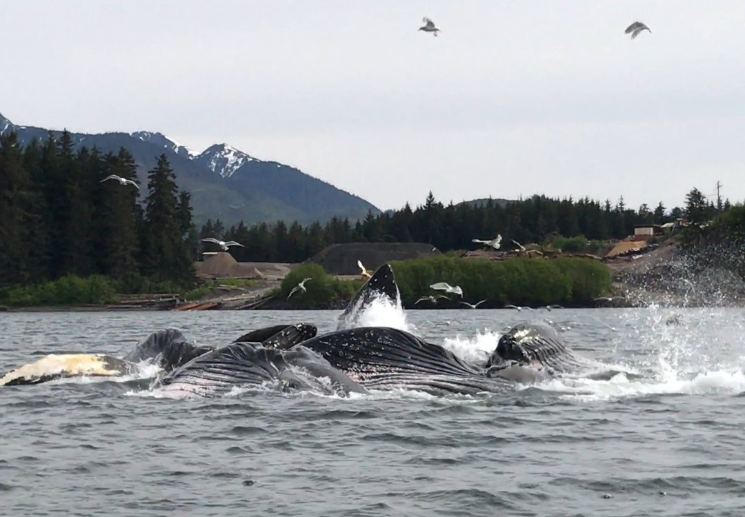 Wooshkeetaan Tours-胡纳必去景点