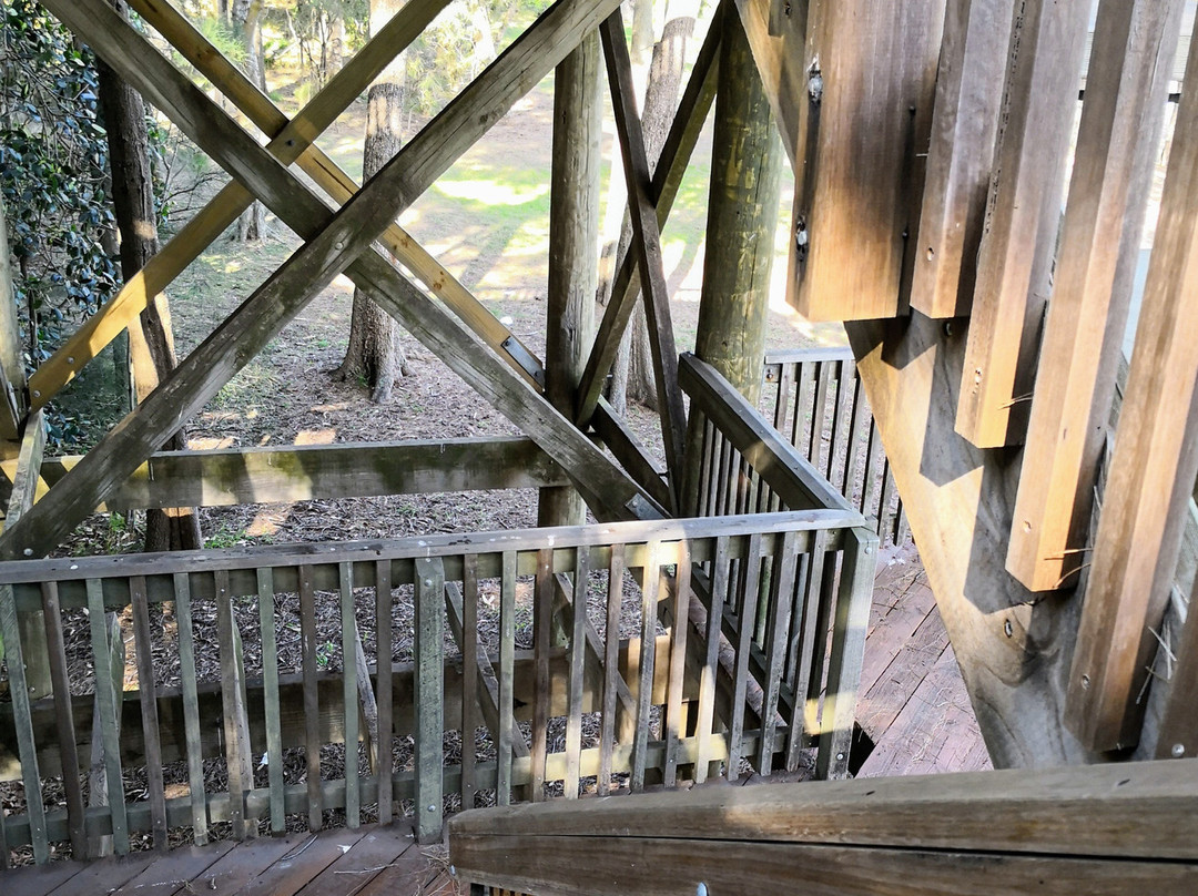 Sawmillers Reserve景点图片