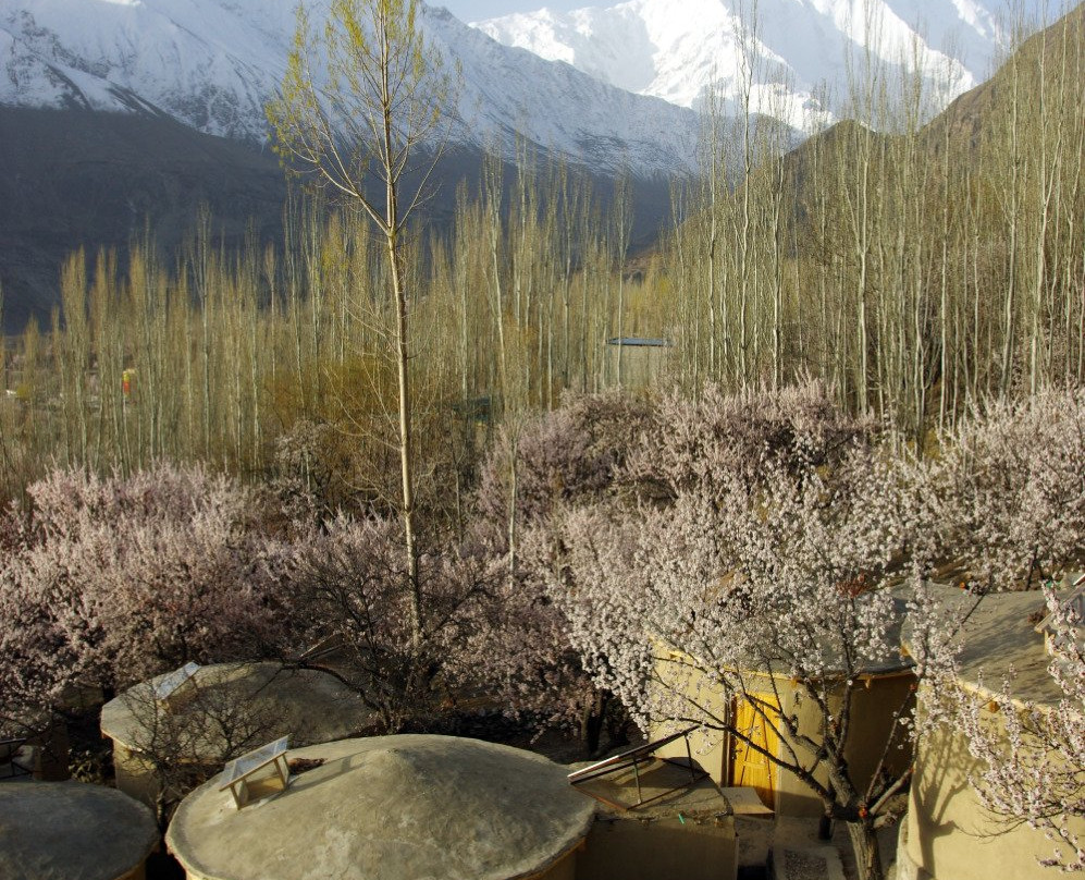 Mountain Story Resort Hunza主图