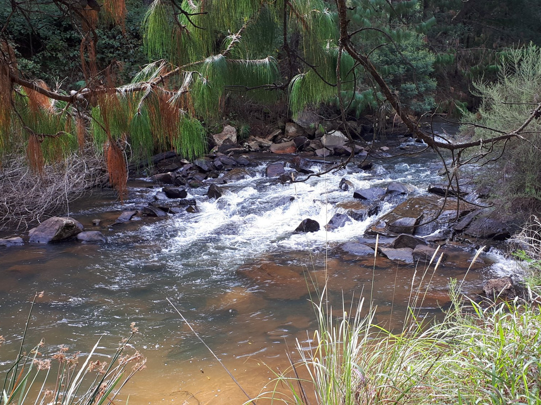 Zwakala River Retreat主图