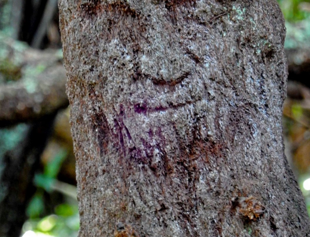 Swarbricks Landing-汉密尔顿必去景点