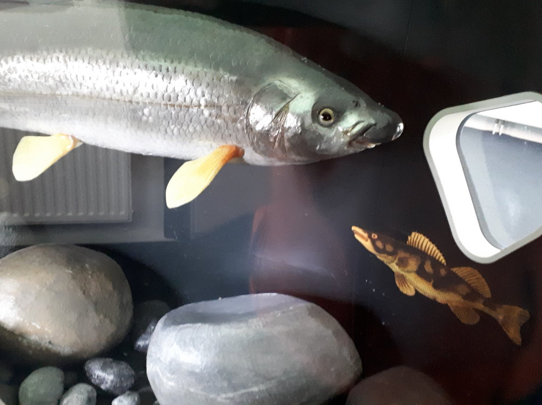 Schloss Orth an der Donau-Orth an der Donau必去景点