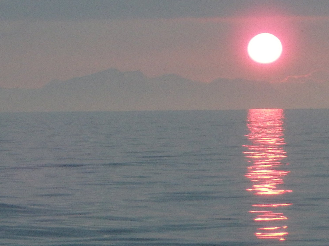 John and Mike's Excellent Adventures-荷马必去景点