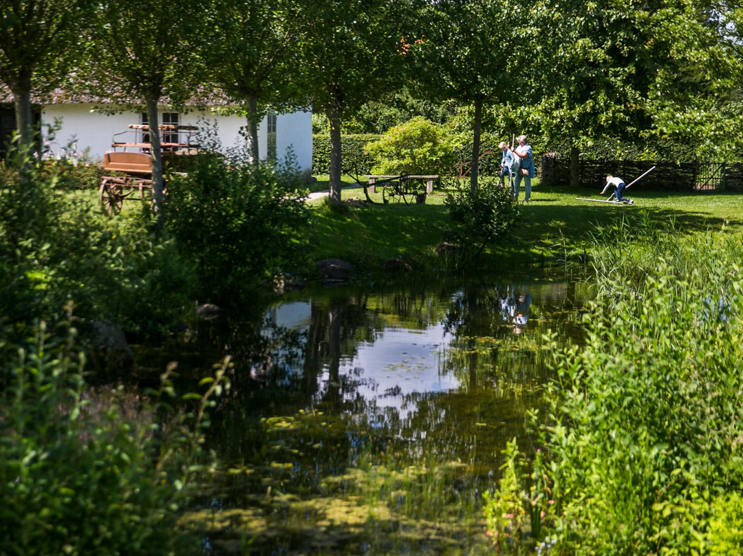 De gamle Huse - Frilandsmuseet景点图片