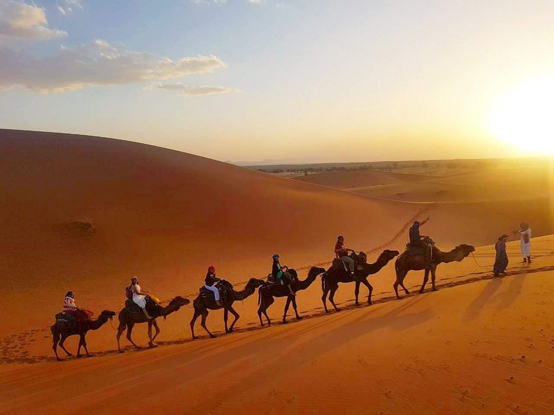Sahara Holiday Tours-卡萨布兰卡必去景点