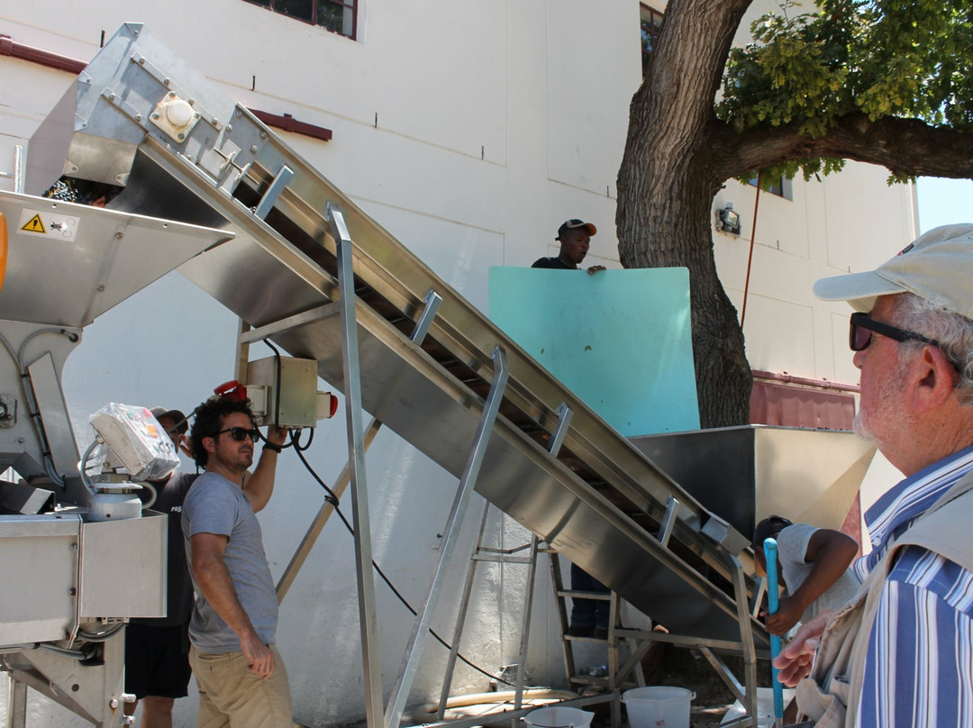 Overgaauw Wine Estate-斯泰伦博斯必去景点