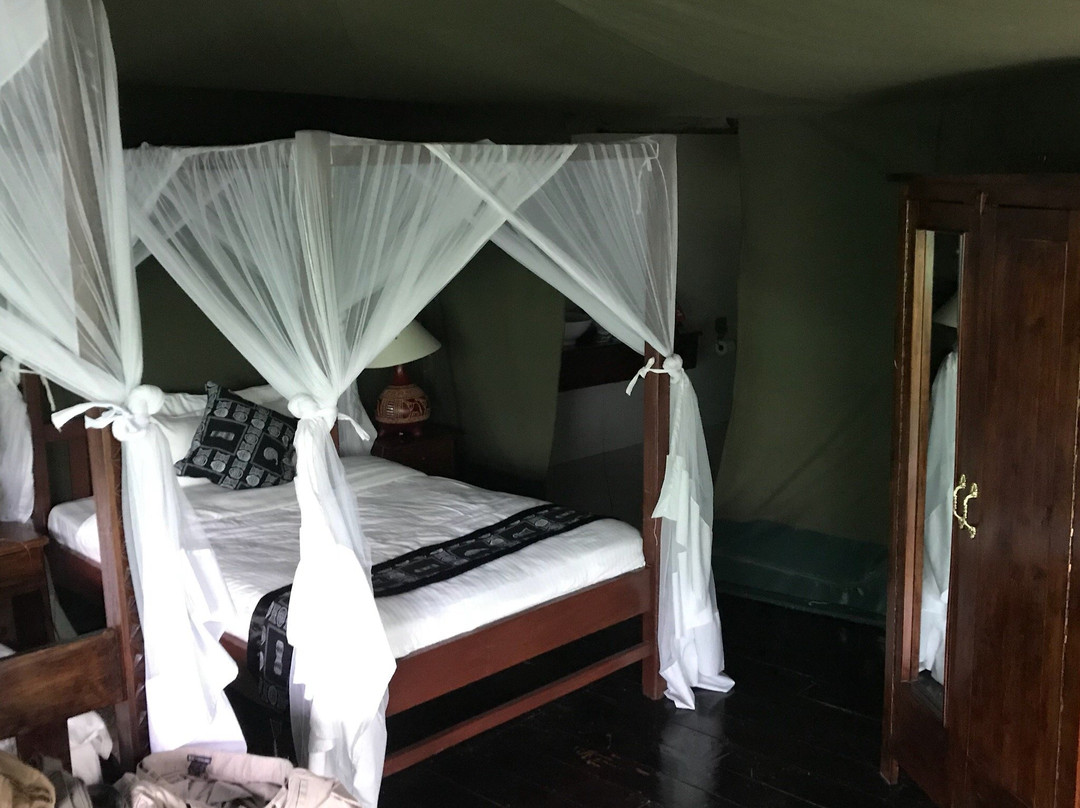 Mashuru旅游攻略图片