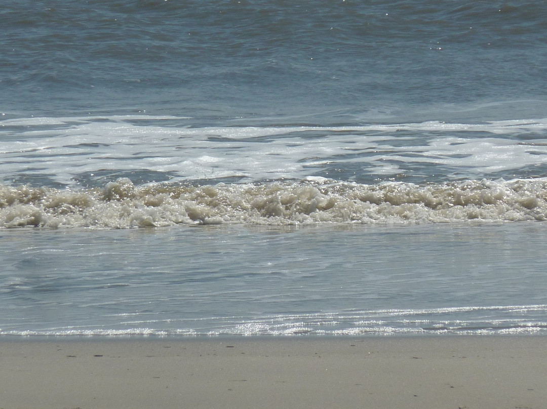 Driessen Beach Park景点图片