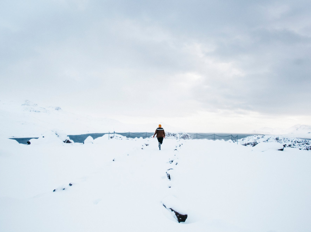 Hólmanes Nature Reserve-Eskifjordur必去景点