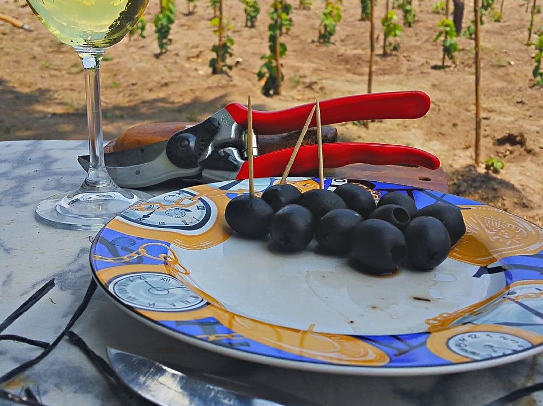 La Malanca Hotel & Spa主图