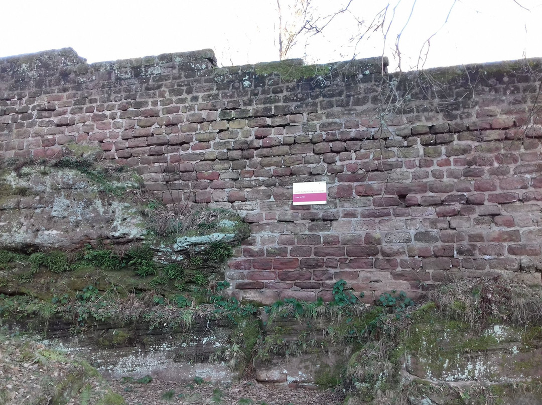 Steinenschloss Castle-Thaleischweiler-Froeschen必去景点