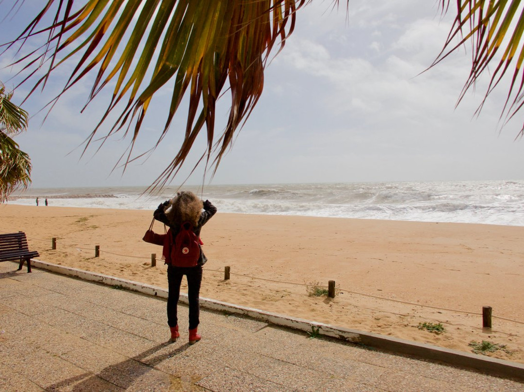 Praia da Quarteira景点图片