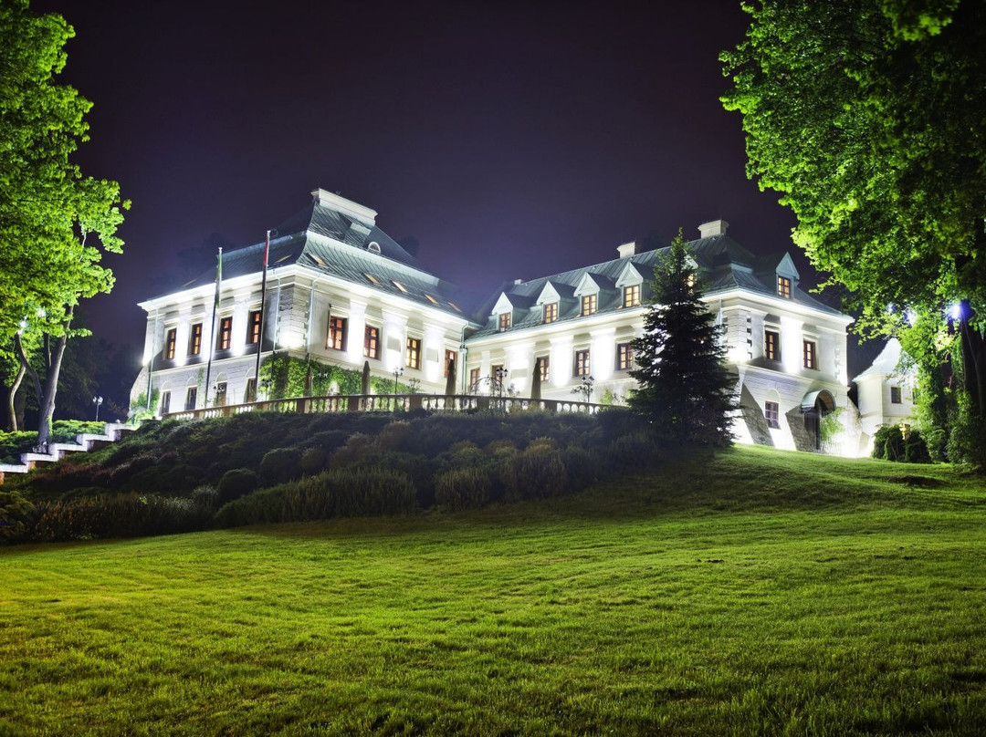 Manor House Spa - Odroważow Palace主图